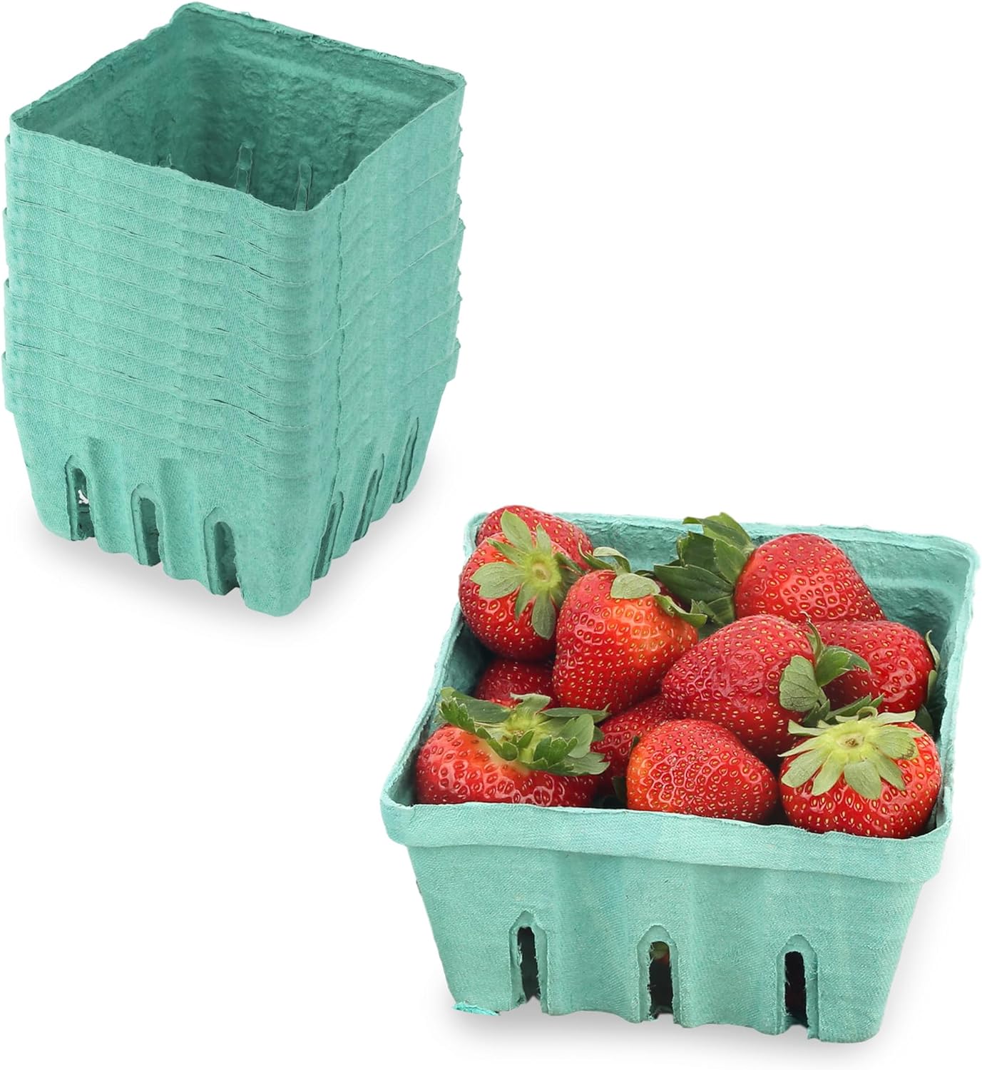  Green Molded Pulp Fiber Produce Vented Berry Basket 1/2 Pint  for Packaging Fruits and Veggies by MT Products - (15 Pieces) - Made in The  USA