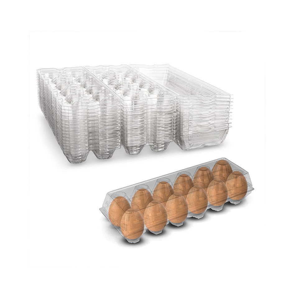 MT Products Tri-Fold Egg Cartons Clear Plastic Recycled PETE Material for  Product Visibility - Pack of 15