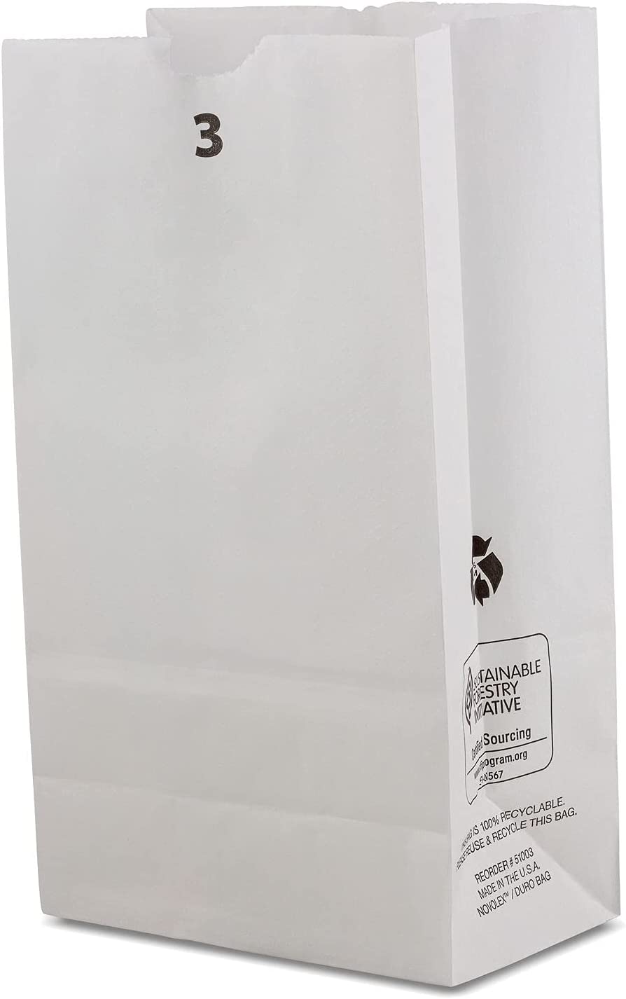 Amazon.com: Qutuus 600 pcs Bulk Kraft Paper Bags 8x4.5x10 Paper Gift Bags, Kraft  Bags, Gift Bags Bulk, Shopping Bags, Party Bags, Retails Bags, Paper Bag,  Brown Paper Bags with Handles Bulk :