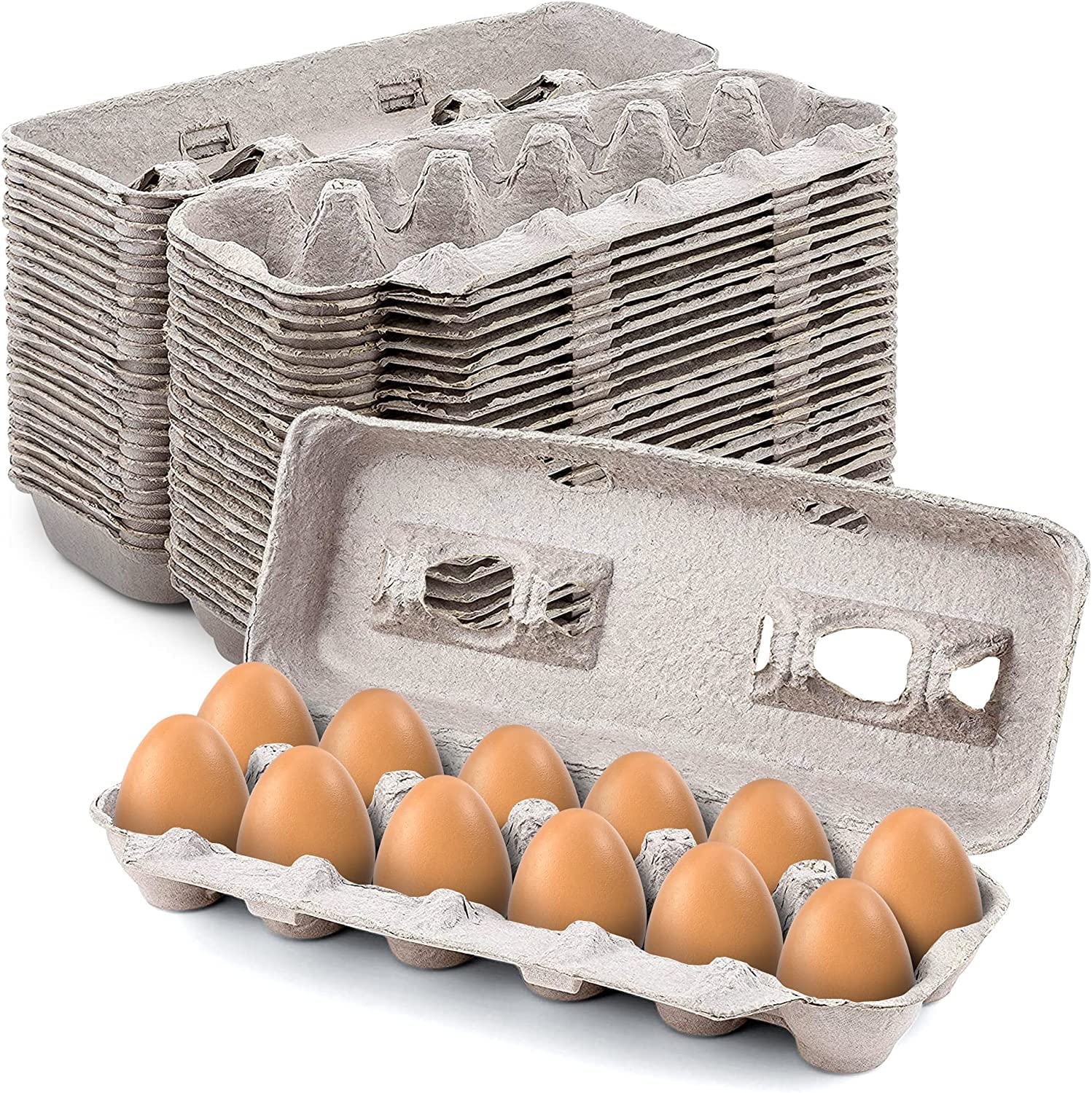 MT Products Tri-Fold Egg Cartons Clear Plastic Recycled PETE Material for  Product Visibility - Pack of 15